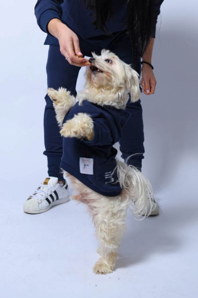 Picture of Dog Hoodie
